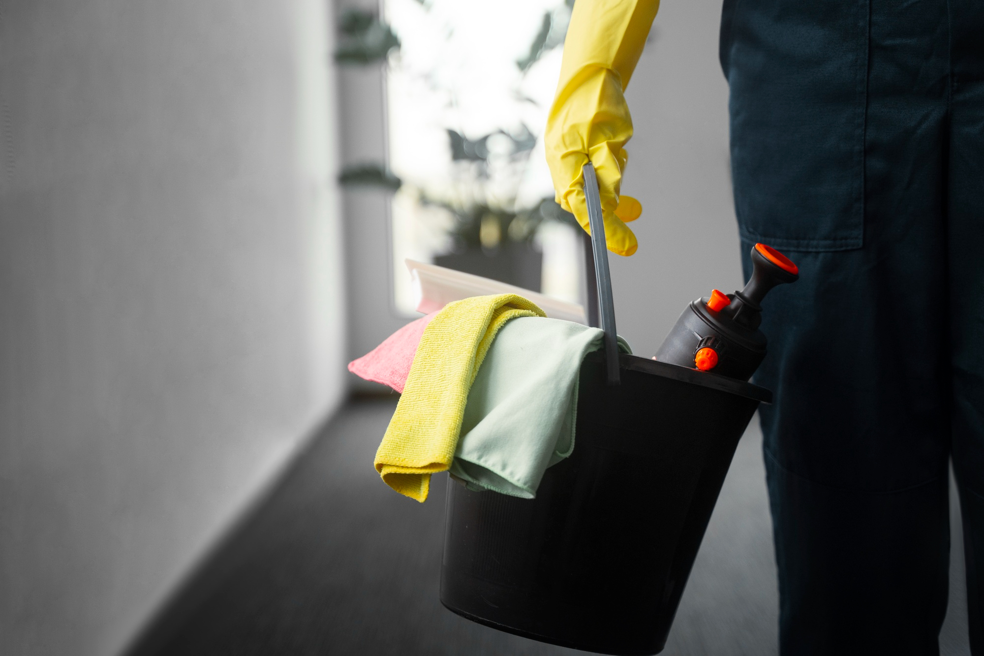 Limpieza y Sanitización